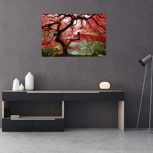 Obraz červeného japonského javora, Portland, Oregon (90x60 cm)
