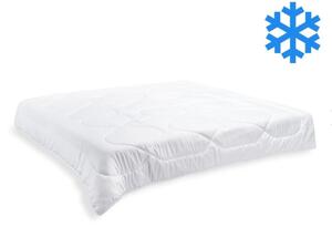 Brotex Prikrývka Thermo 200x200cm zimná 2400 g (600g/m2)