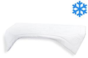 Brotex Predĺžená prikrývka Luxus Plus 140x220cm zimná 1430g