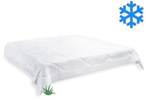 Brotex Prikrývka Aloe Vera zimná 220x200cm 1980g
