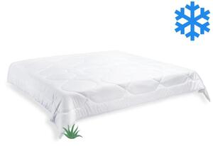 Brotex Prikrývka Aloe Vera zimná 240x220cm 2370 g