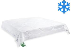 Brotex Prikrývka Aloe Vera zimná 240x200cm 2160 g