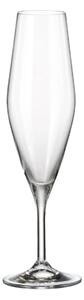 Bohemia Crystal Poháre na šampanské Gavia 210 ml (súprava 6 ks)