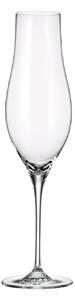 Bohemia Crystal Pohár na šampanské Limosa 300ml (set po 6ks)