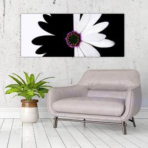 Obraz čiernobieleho kvetu (120x50 cm)