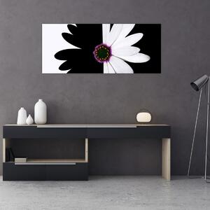 Obraz čiernobieleho kvetu (120x50 cm)