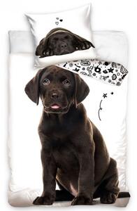 Bavlnené obliečky Šteniatko Hnedý Labrador 140x200/70x90 cm