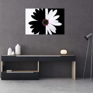 Obraz čiernobieleho kvetu (90x60 cm)