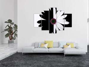 Obraz čiernobieleho kvetu (150x105 cm)