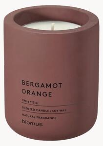Vonná sviečka Fraga (Bergamot & Orange)