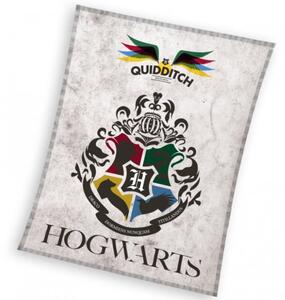 Detská deka Harry Potter Metlobal 130x170 cm