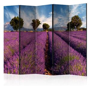 Artgeist Paraván - Lavender field in Provence, France [Room Dividers]
