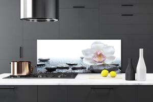 Sklenený obklad Do kuchyne Kvet kamene umenie 125x50 cm