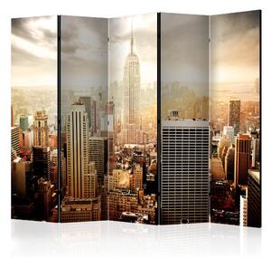 Artgeist Paraván - Uncombed by wind [Room Dividers]