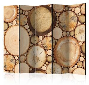 Artgeist Paraván - Wood grains [Room Dividers]