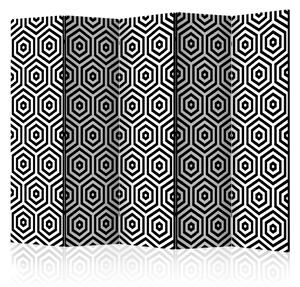 Artgeist Paraván - Black and White Hypnosis [Room Dividers]