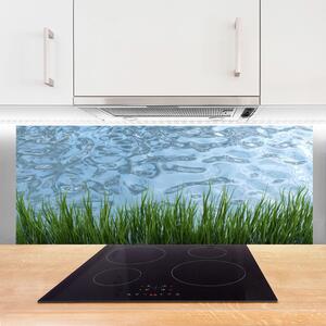 Sklenený obklad Do kuchyne Tráva voda príroda 125x50 cm