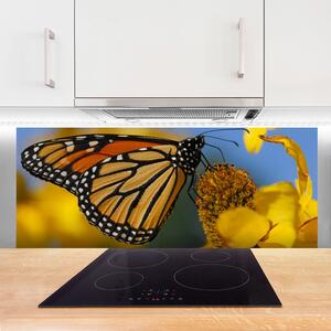 Sklenený obklad Do kuchyne Motýľ kvet príroda 125x50 cm