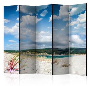 Artgeist Paraván - Beach on the Costa da Morte II [Room Dividers]