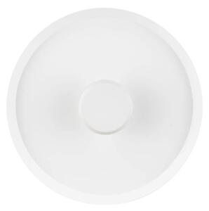Minimalistické nástenné svietidlo Dorell 25 Biela