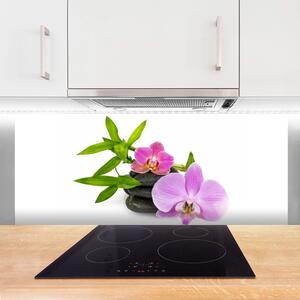 Sklenený obklad Do kuchyne Kvet kamene rastlina 125x50 cm