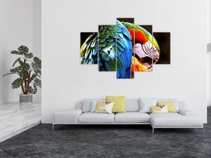 Obraz - Papagáj (150x105 cm)
