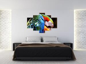 Obraz - Papagáj (150x105 cm)