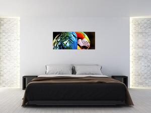 Obraz - Papagáj (120x50 cm)
