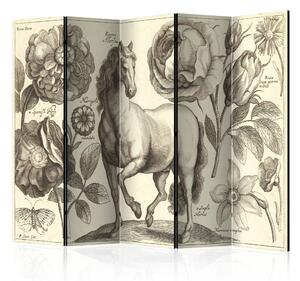 Artgeist Paraván - Horse II [Room Dividers]