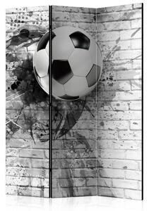 Artgeist Paraván - Dynamic Football [Room Dividers]