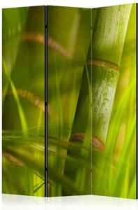 Artgeist Paraván - bamboo - nature zen [Room Dividers]