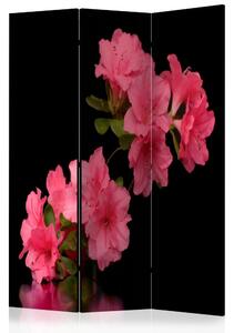 Artgeist Paraván - Azalea in Black [Room Dividers]