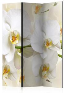 Artgeist Paraván - Orchid Branch [Room Dividers]