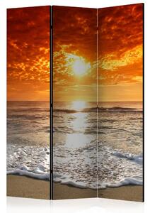 Artgeist Paraván - Marvelous sunset [Room Dividers]
