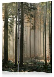 Artgeist Paraván - Foggy November morning [Room Dividers]
