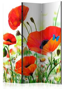 Artgeist Paraván - Country poppies [Room Dividers]