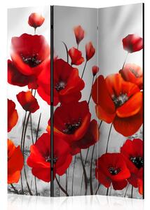 Artgeist Paraván - Poppies in the Moonlight [Room Dividers]