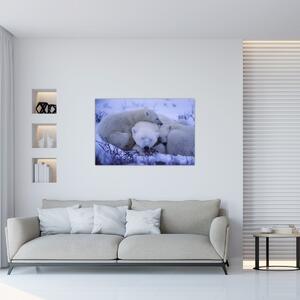Obraz - Ľadové medvedíky (90x60 cm)