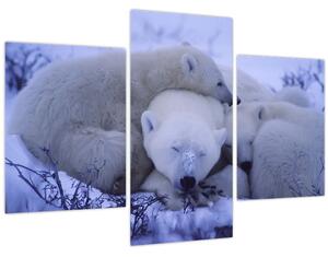 Obraz - Ľadové medvedíky (90x60 cm)