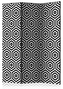Artgeist Paraván - Black and White Hypnosis [Room Dividers]