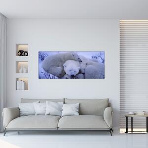 Obraz - Ľadové medvedíky (120x50 cm)