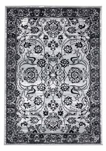 Dekorstudio Moderný koberec TIMELESS - 6981 Rozmer koberca: 80x150cm