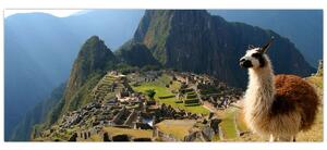 Obrázok - Lama a Machu Picchu (120x50 cm)