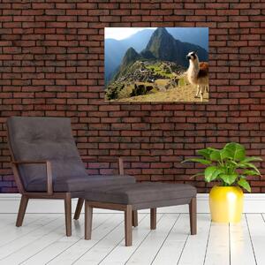 Obrázok - Lama a Machu Picchu (70x50 cm)