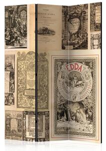 Artgeist Paraván - Vintage Books [Room Dividers]