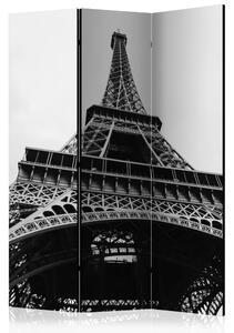 Artgeist Paraván - Paris Giant [Room Dividers]