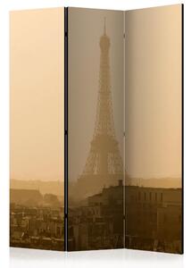 Artgeist Paraván - Paris at Dawn [Room Dividers]