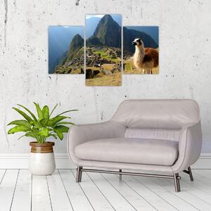 Obrázok - Lama a Machu Picchu (90x60 cm)