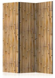 Artgeist Paraván - Amazonian Wall [Room Dividers]