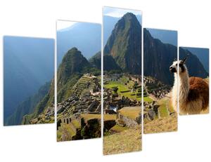 Obrázok - Lama a Machu Picchu (150x105 cm)